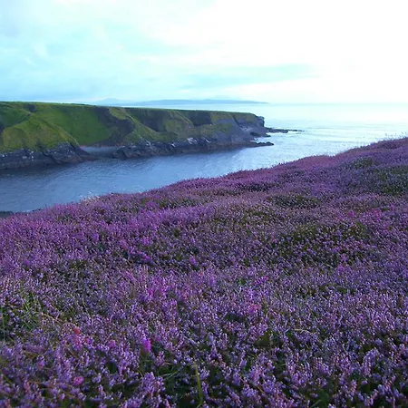 The Country Haven Πανσιόν Ballybunion